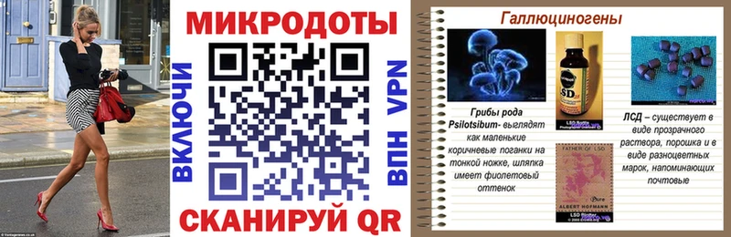 кракен онион  закладка  Дальнегорск  Галлюциногенные грибы Psilocybe 